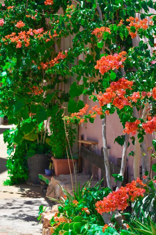 Home Suites Hersonissos  Ngoại thất bức ảnh